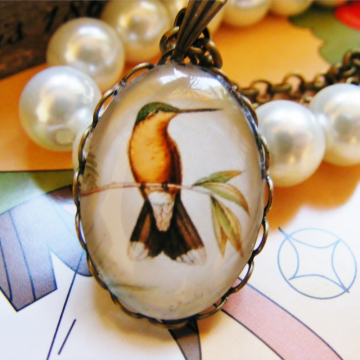 Wisiorek Ptak Oreopyra Calolaema