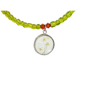 Bransoletka - Kwiat Albuca