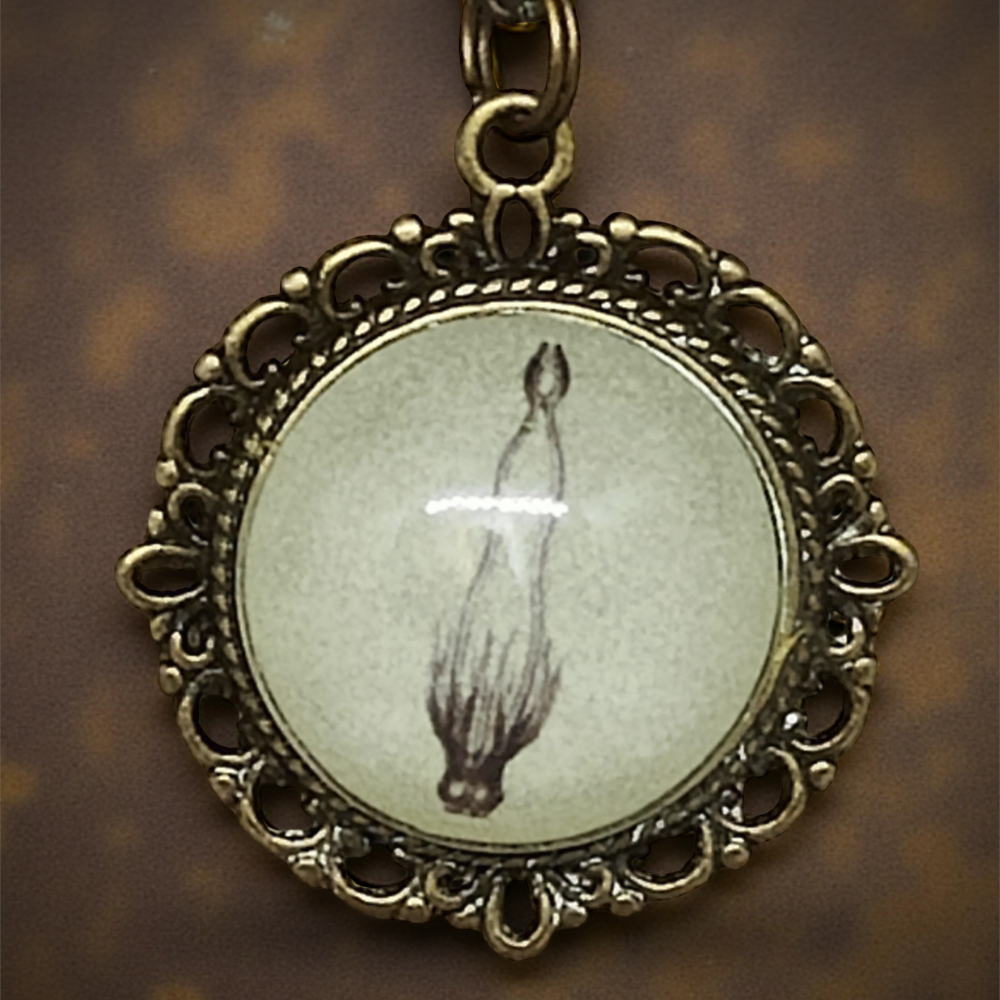 Wisiorek Steampunk z Grafiką – Kałamarnica II