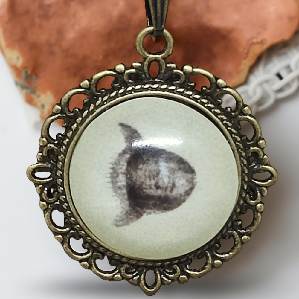 Wisiorek steampunk z grafiką - Ryba Samogłów